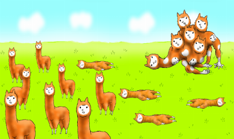 Evolución de la alpaca