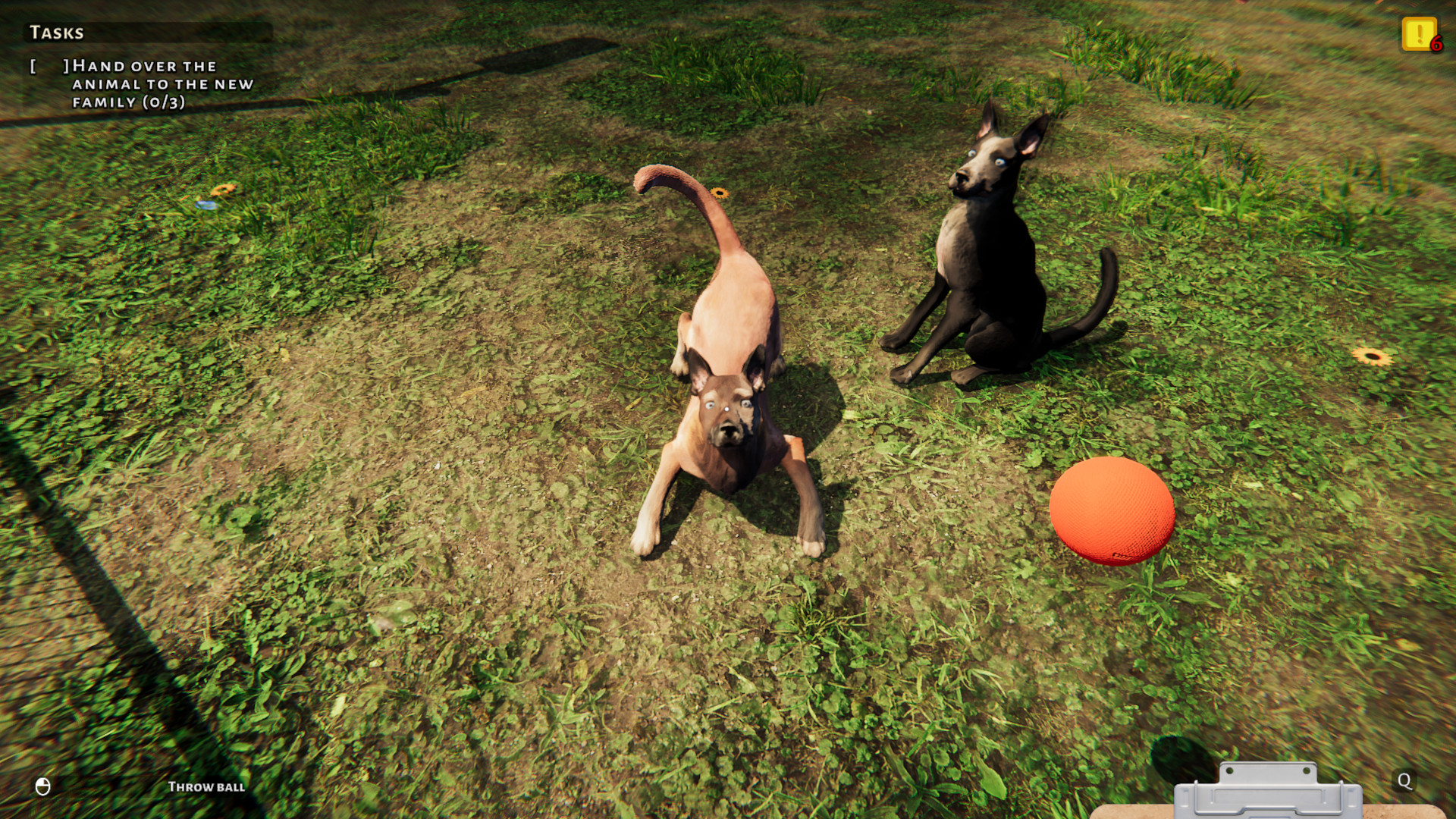 Refugio de animales