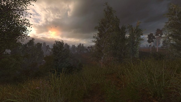 S.T.A.L.K.E.R. Anomaly 1.5.0 Update 4 patch