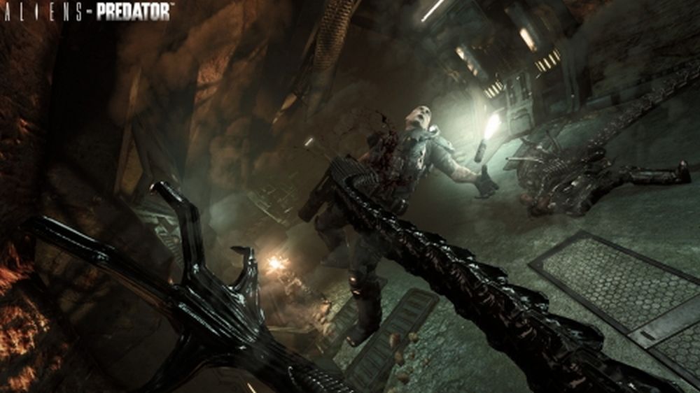 Neues Aliens VS Predator bestätigt und detailliert