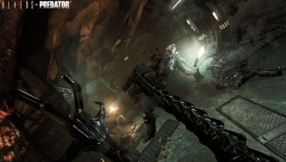 Alines Vs Predator Banned In Australia. No Toned Down Version Planned