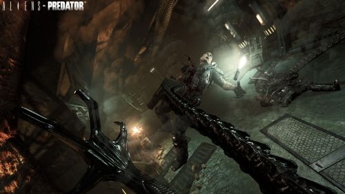 Alines Vs Predator Banned In Australia. No Toned Down Version Planned