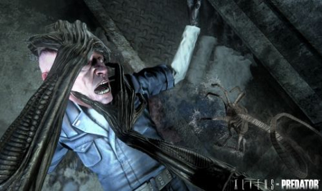 Alines Vs Predator Banned In Australia. No Toned Down Version Planned