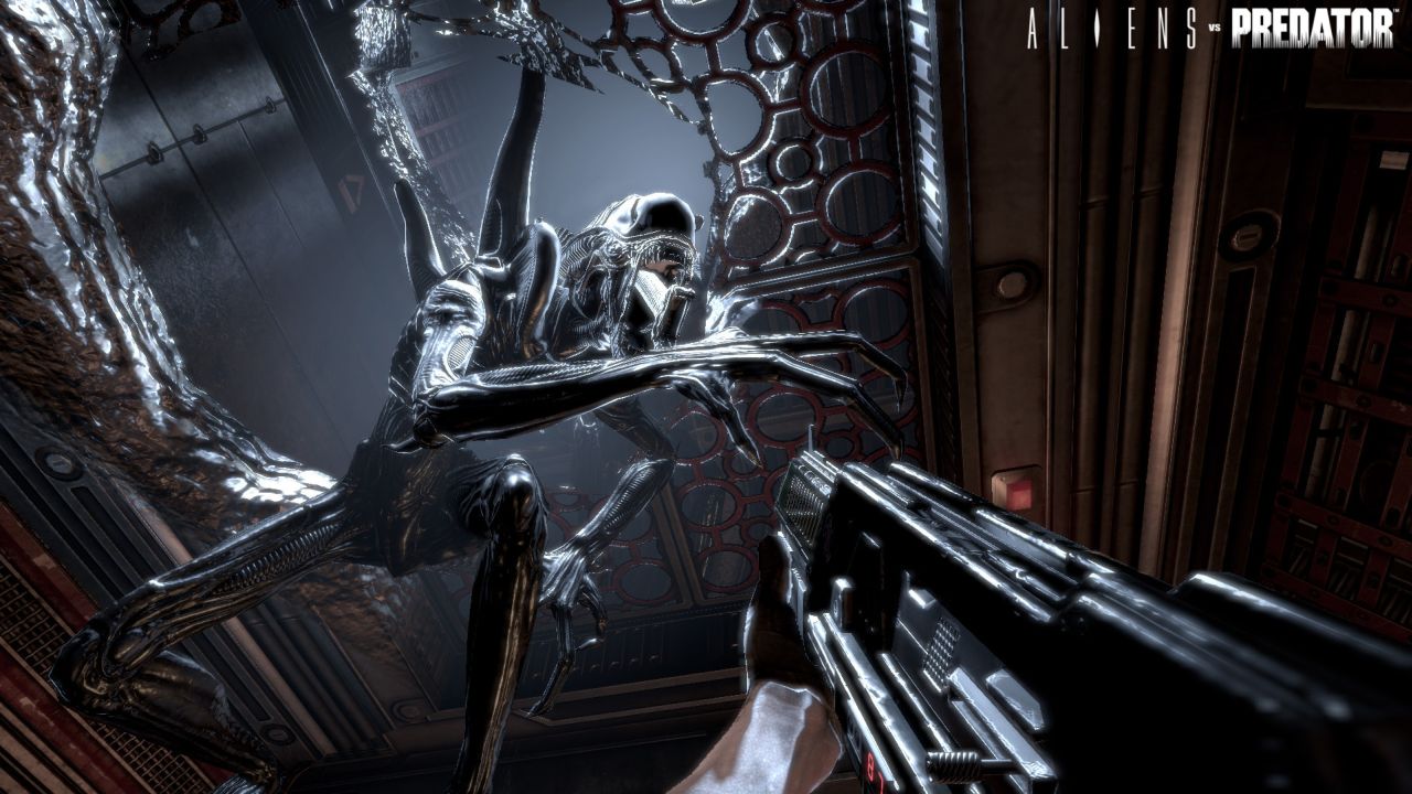 Verbot von Aliens vs. Predator wird aufgehoben