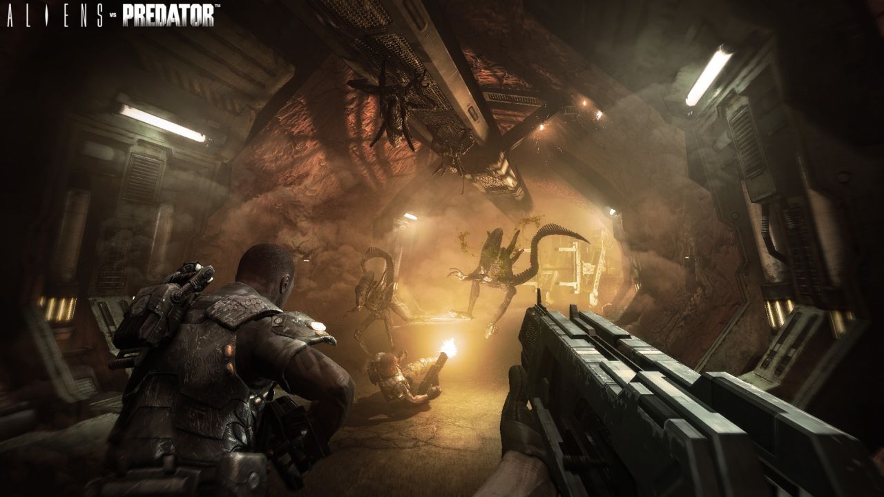 Aliens vs Predator Ban Reversed