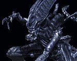 Aliens Vs Predator new levels