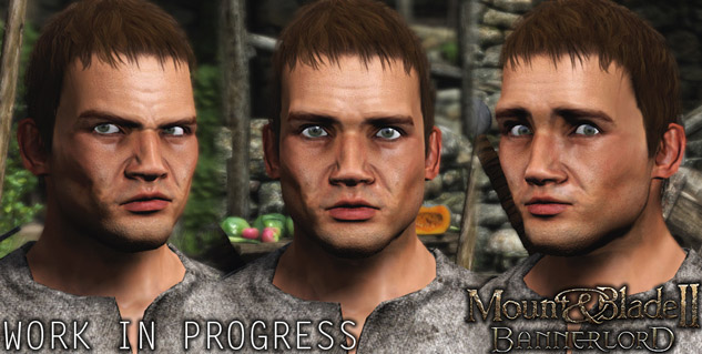 Mount and Blade II Bannnerlord wird Gesichtsanimationen haben