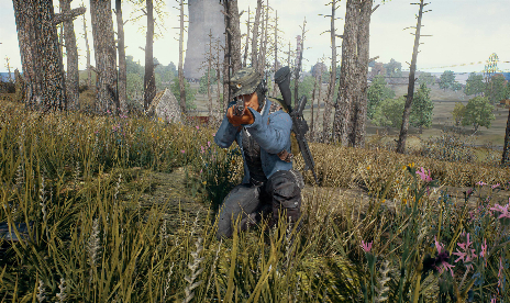 Now Battlegrounds is getting review bombed