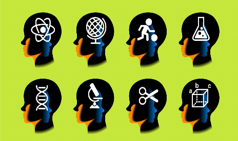 Stanford-Wissenschaftler bestreiten die Wirksamkeit von Gehirntrainingsspielen