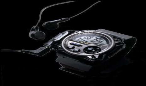 Casio Wrist mp3 player