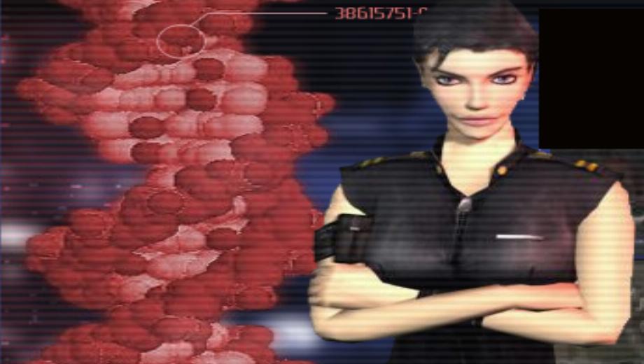 CT Special Forces Website Deployed