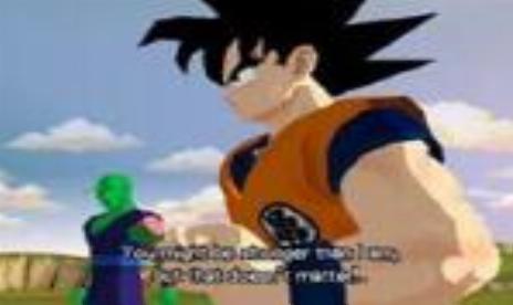 GameCube Gets Budokai