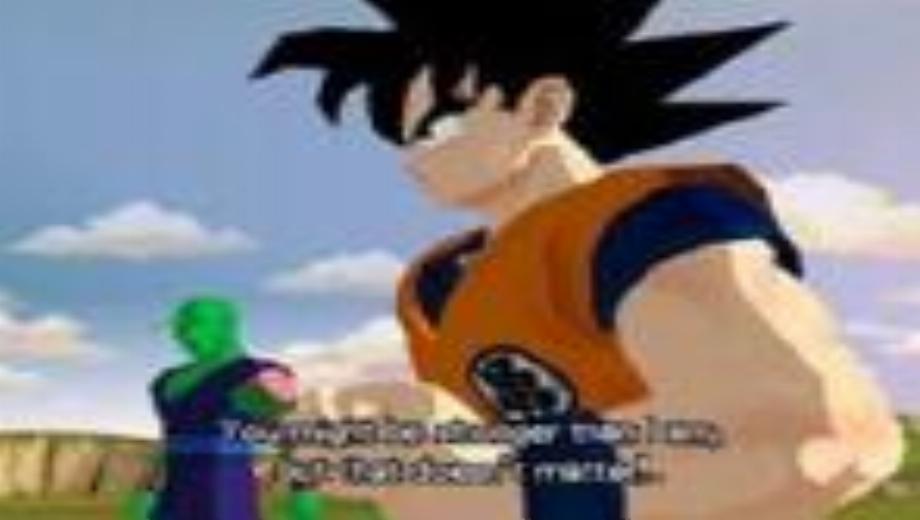 GameCube Gets Budokai