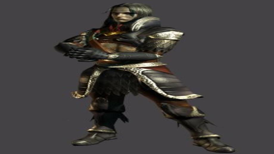 New Iron Phoenix Weapons and Fighters