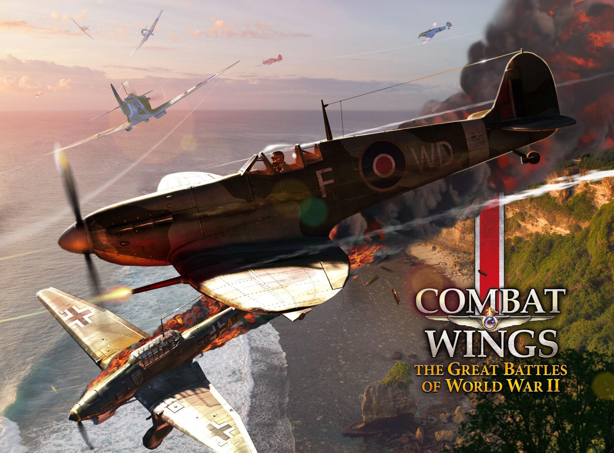 Combat Wings: The Great Battles of WWII