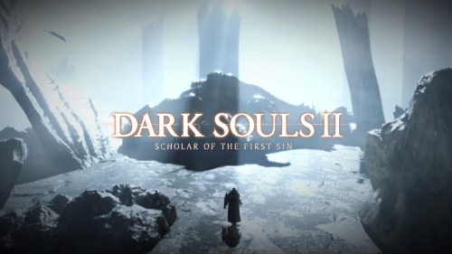 Dark Souls II: Scholar of the First Sin v1.01 (+25 Trainer)