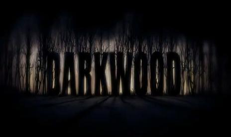 Darkwood Early Access v3.0 (+5 Trainer)
