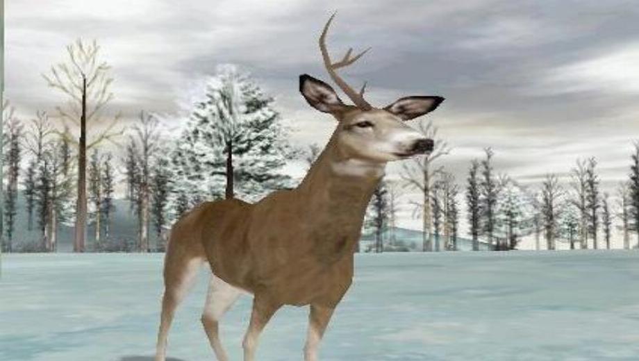 Deer Hunter 4