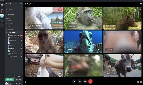 Discord now has even better video calling