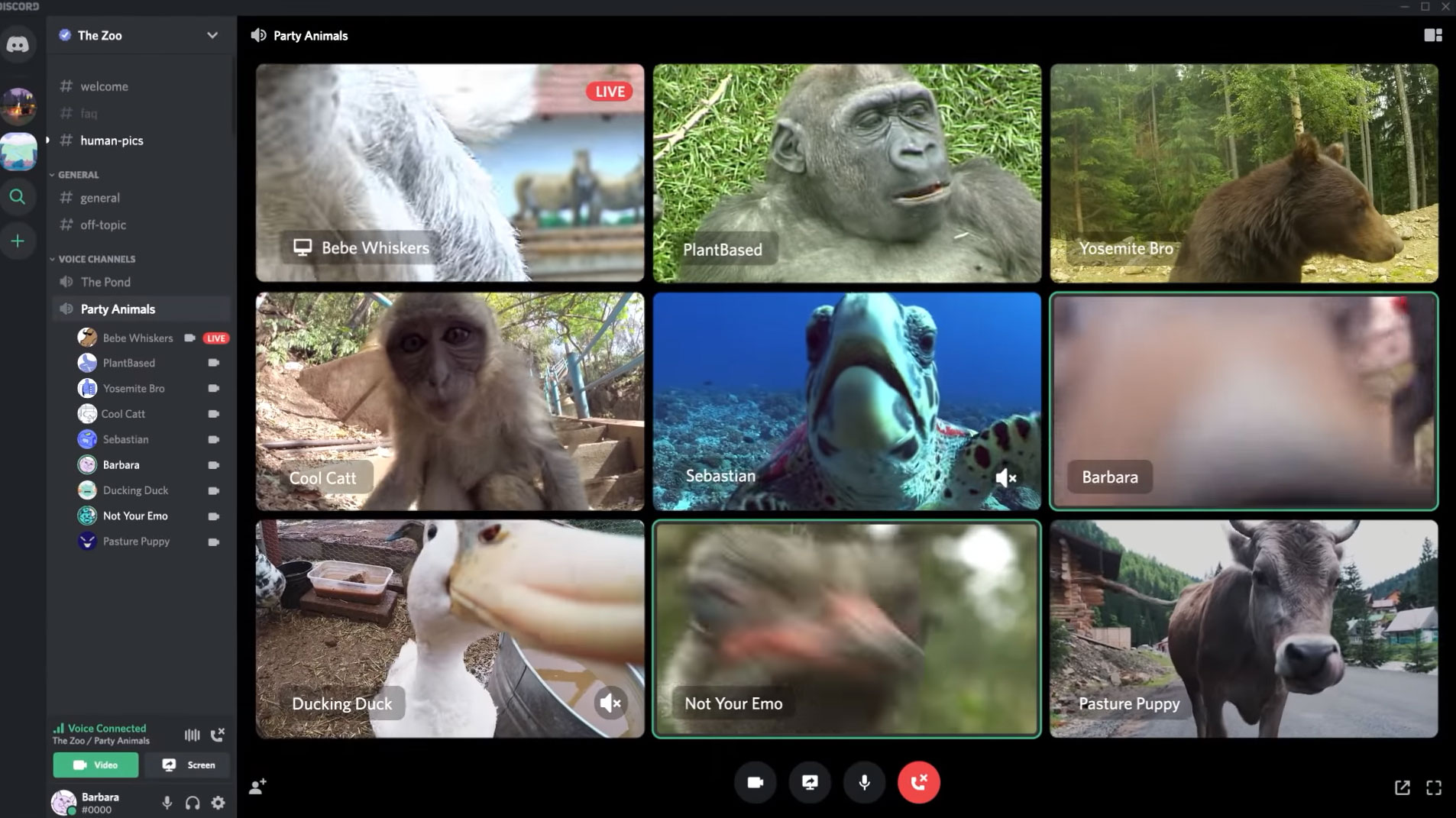 Discord now has even better video calling