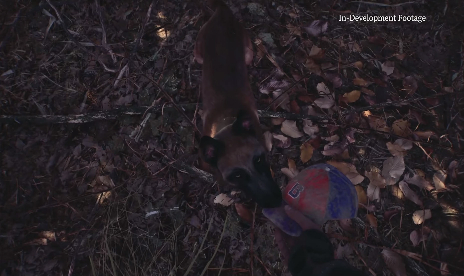 Das Blair Witch-Spiel, nach dem niemand gefragt hat, sieht eigentlich ganz gut aus