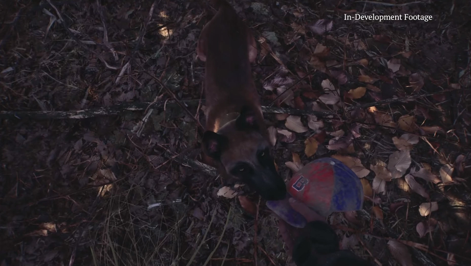 The Blair Witch game no one asked for actually looks quite good