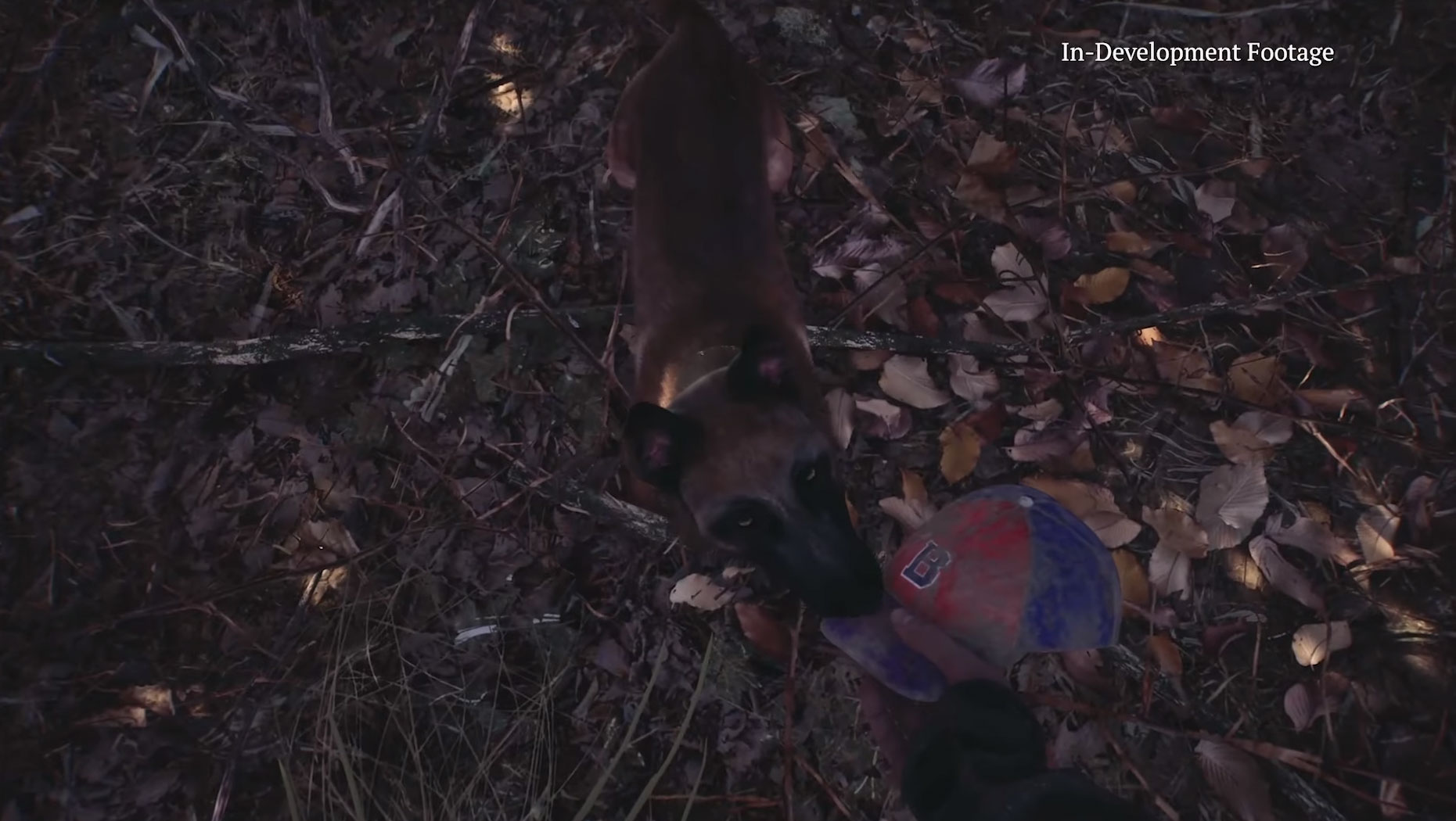 The Blair Witch game no one asked for actually looks quite good