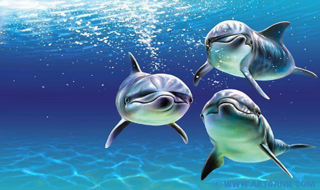 Nintendo’s Dolphin proves a slow swimmer