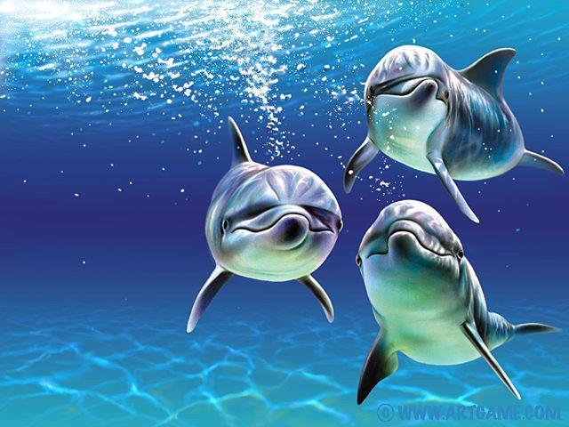 Nintendo’s Dolphin proves a slow swimmer