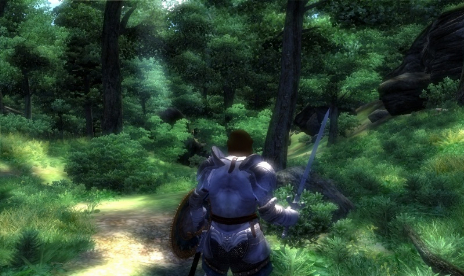 The Elder Scrolls 4: Oblivion – Cheat modebr