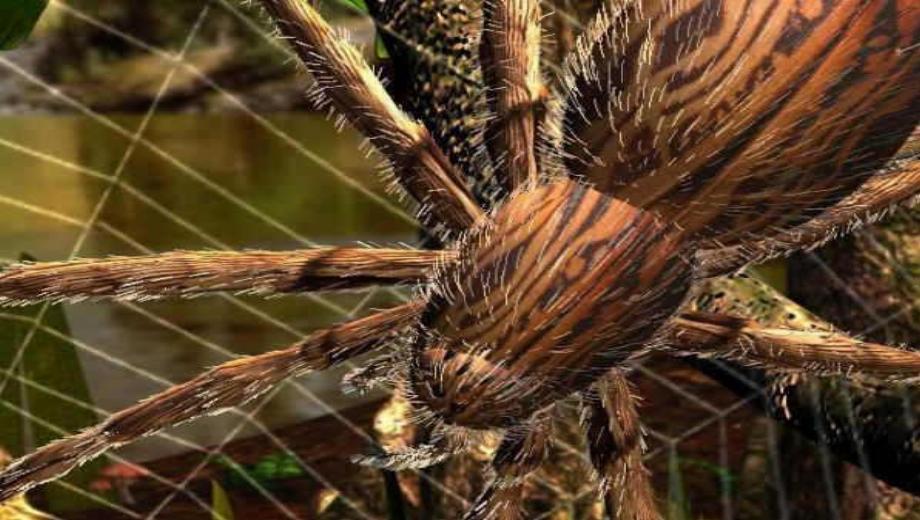 Empire of the Ants