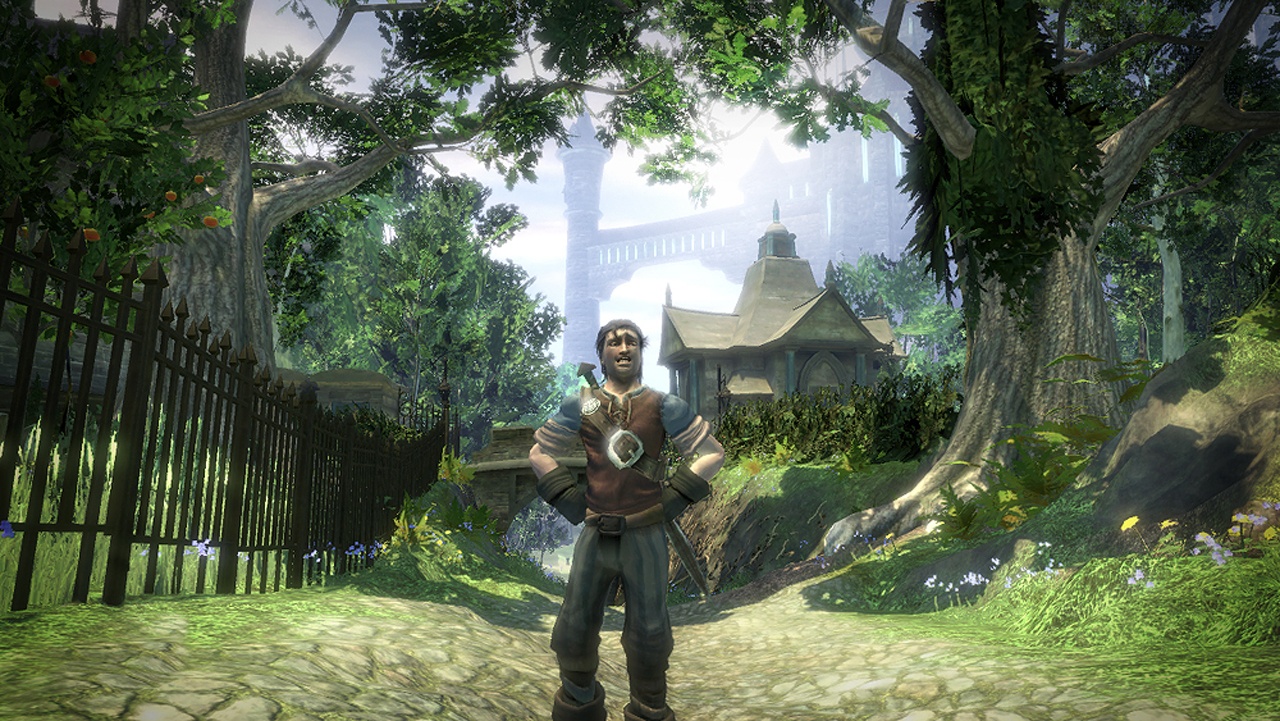 Online Co-op Won’t Be Available In Fable 2 At Launch