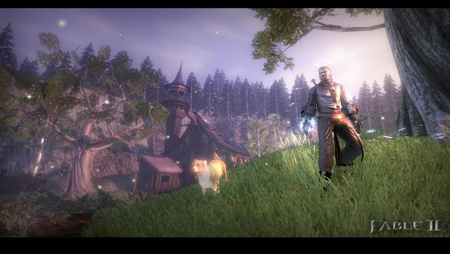 Is This Molyneux Confirming Fable 2 For PC?