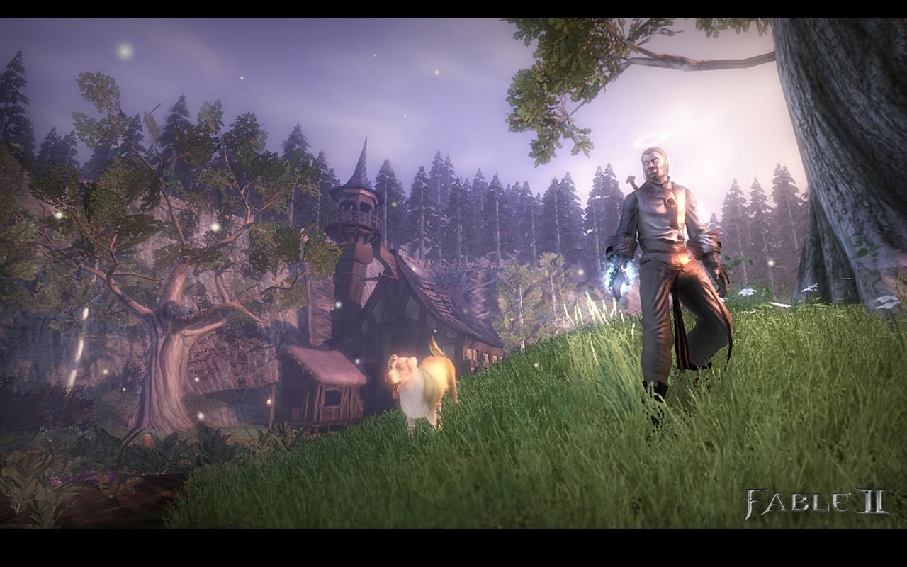Is This Molyneux Confirming Fable 2 For PC?