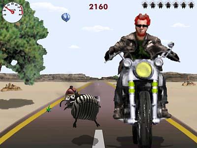 BikeFlyter