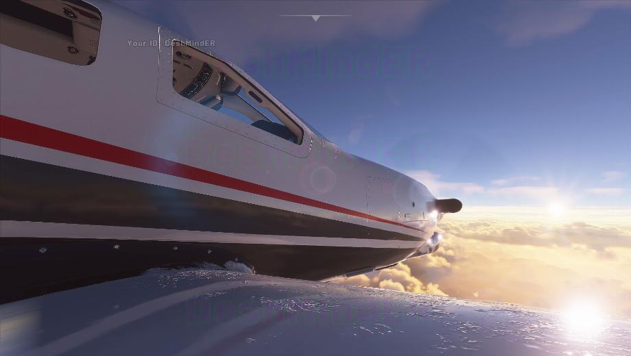 Microsoft Flight Sim won’t launch on Steam