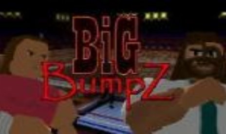 Big Bumpz