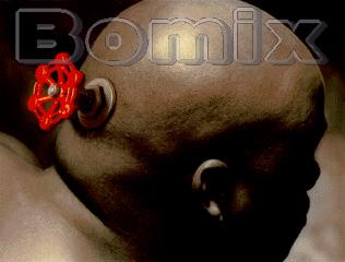 Bomix