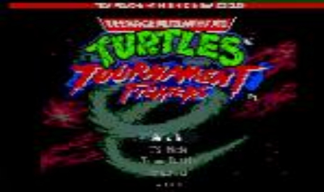 TMHT : Tournament Fighters – Remix