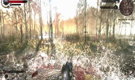 Las nuevas imágenes de Witcher son muy bonitas