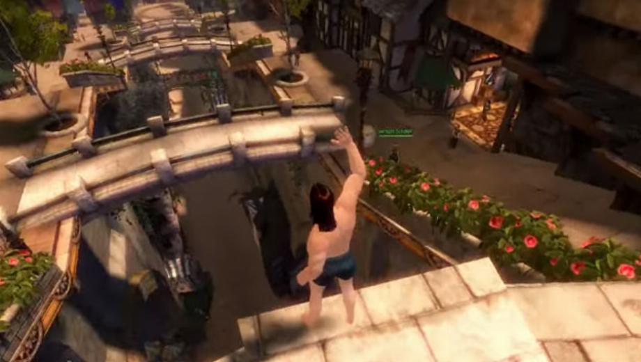 Guild Wars 2 Hacker Gets Shamed Then Banned