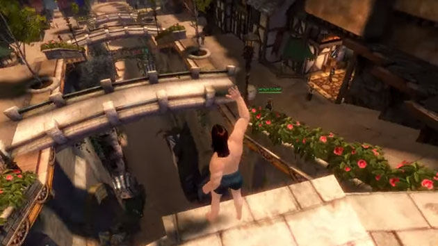 Guild Wars 2 Hacker Gets Shamed Then Banned