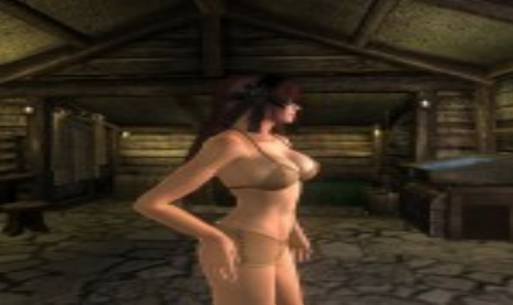 The Elder Scrolls 4: Oblivion v1.1.511 (+11 Trainer)