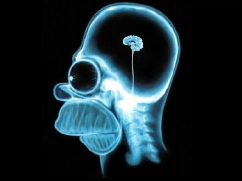 Brain Training Games Don’t Improve Brain Skills (?)
