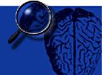 XBox Wins Brain Scan War