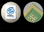 Celeron’s are here to Stay