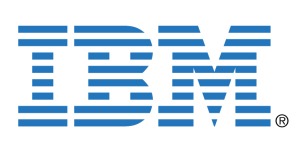 IBM Exec: Gaming Is Good For You