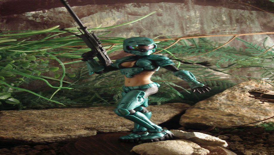 Female Master Chief Sold For Good Cause