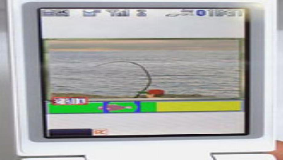 Japanese Players Catch Real Fishes Through Mobile