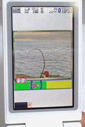 Japanese Players Catch Real Fishes Through Mobile